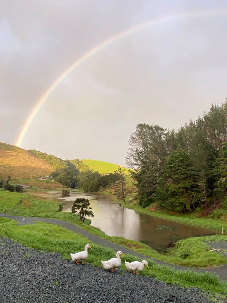 Rainbow over the cold plunge lake in Northland